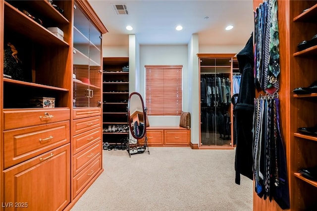 spacious closet with light colored carpet