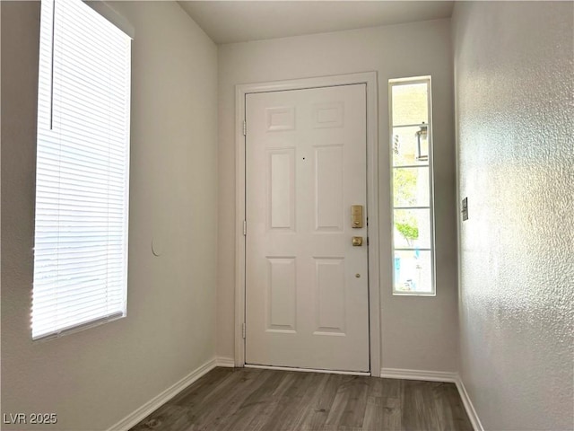 foyer featuring a wealth of natural light and dark hardwood / wood-style flooring