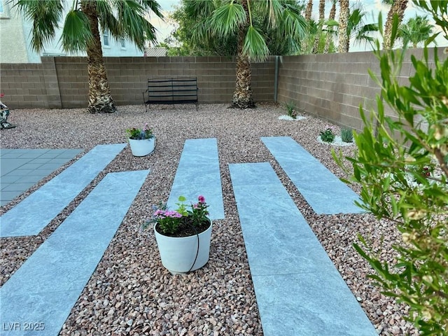 view of yard with a patio area