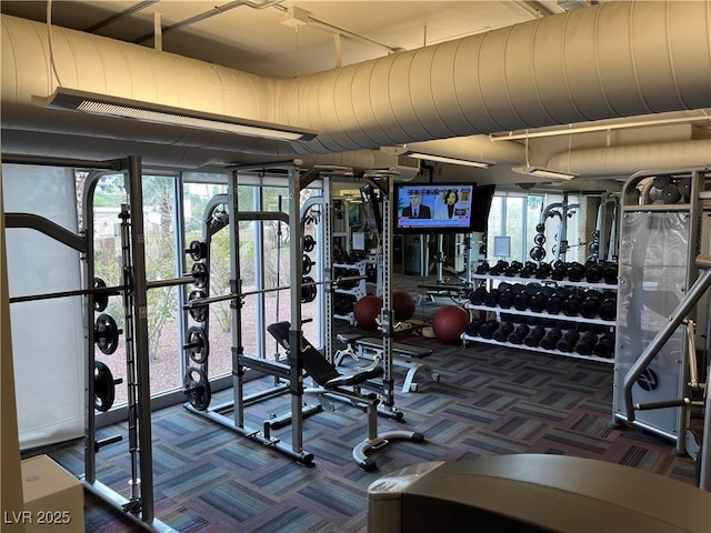 workout area with carpet floors and a wealth of natural light