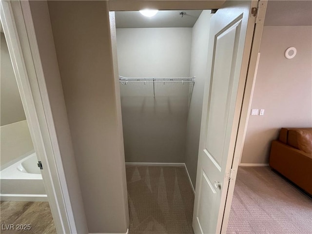 spacious closet featuring carpet floors