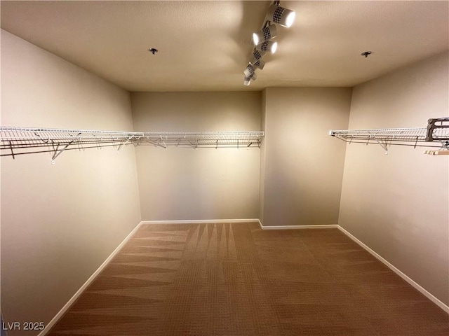 walk in closet featuring carpet floors