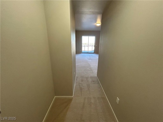 hall featuring baseboards and carpet flooring