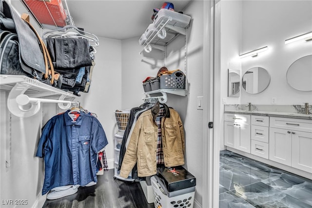 spacious closet with sink