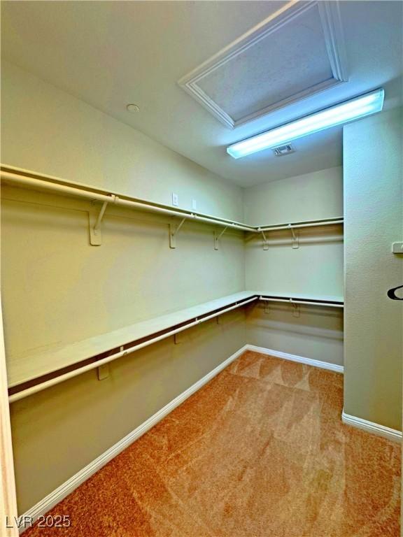 walk in closet with light colored carpet