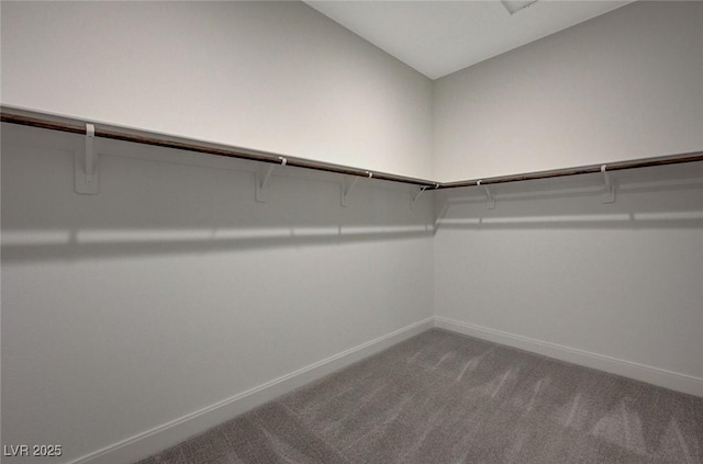 spacious closet with carpet floors and vaulted ceiling