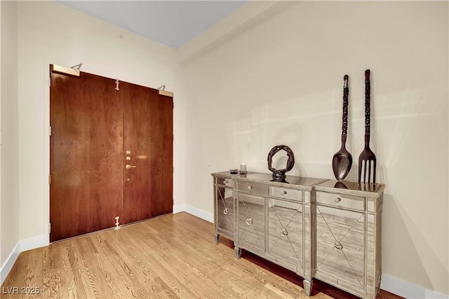 entrance foyer featuring wood-type flooring