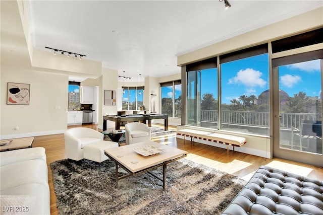 living room featuring hardwood / wood-style flooring and rail lighting