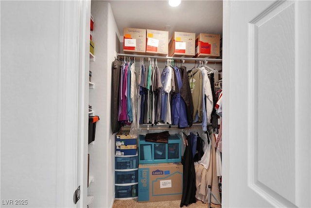 view of closet