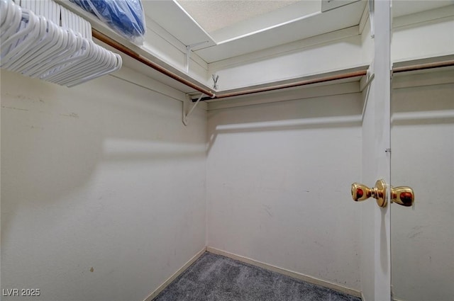 spacious closet featuring dark colored carpet