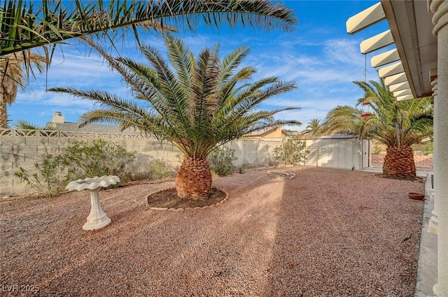 view of yard featuring a patio area