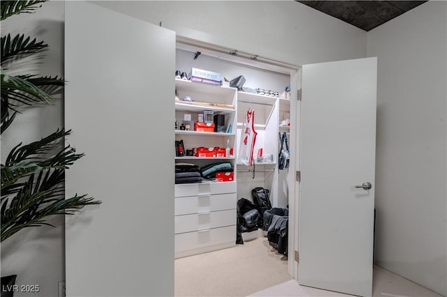 360 E Desert Inn Rd Unit 604, Las Vegas, NV 89109 - view of closet