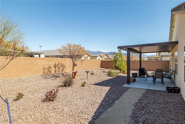 3924 E Garfield Dr, Pahrump, NV 89061 - view of yard with a patio and a fenced backyard