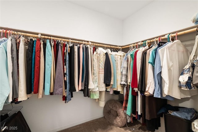 3924 E Garfield Dr, Pahrump, NV 89061 - spacious closet with carpet floors