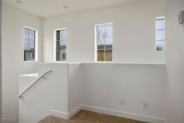 stairs featuring carpet flooring