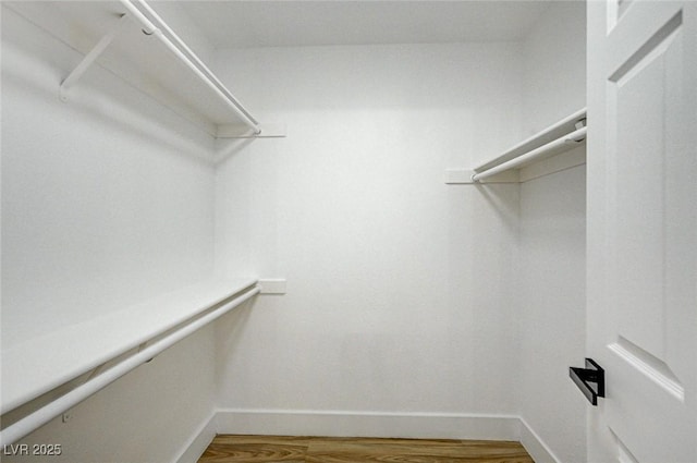 spacious closet with wood-type flooring