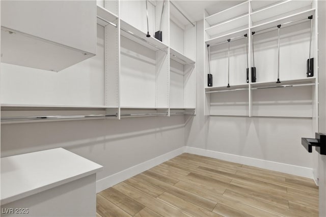 spacious closet featuring hardwood / wood-style floors