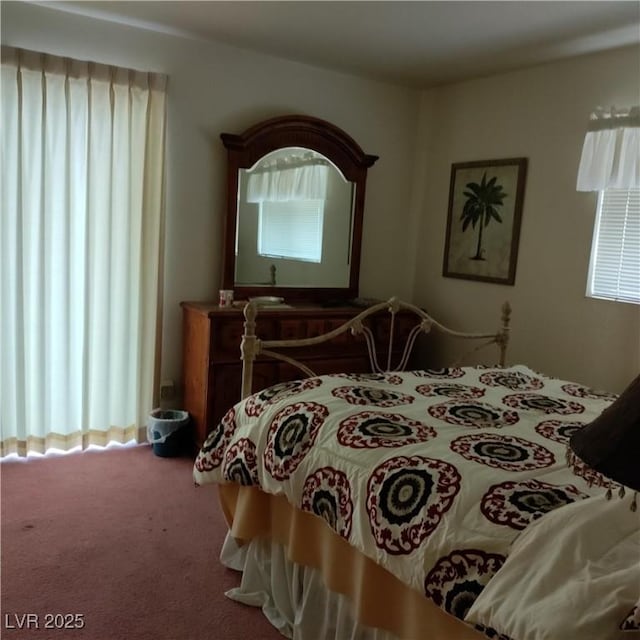 bedroom with multiple windows and carpet floors