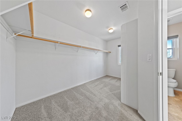 spacious closet with light carpet