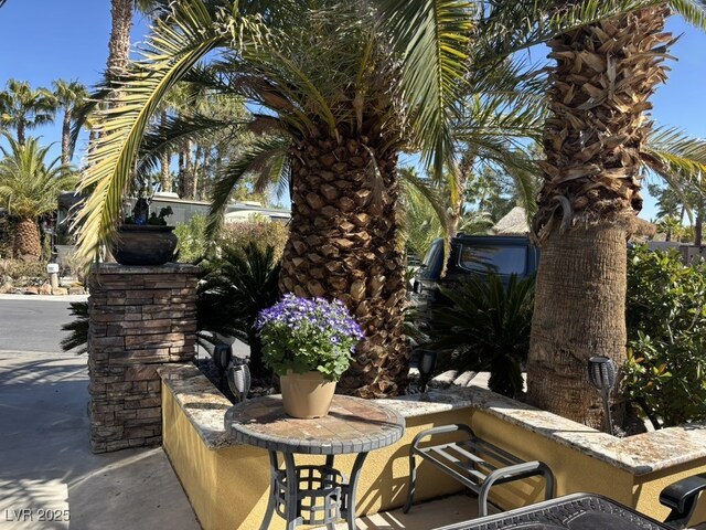 8175 Arville St Unit 378, Las Vegas, NV 89139 - photo 20