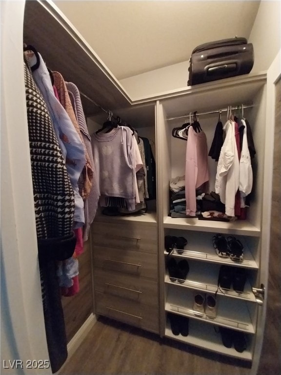 spacious closet featuring wood finished floors