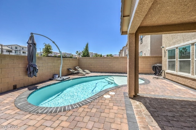 view of swimming pool with a patio area