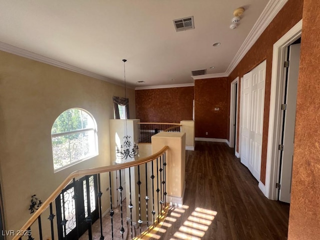 corridor featuring dark hardwood / wood-style flooring and crown molding