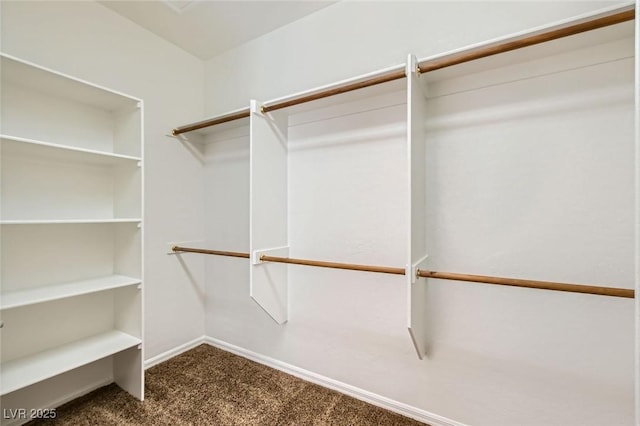 spacious closet featuring carpet flooring