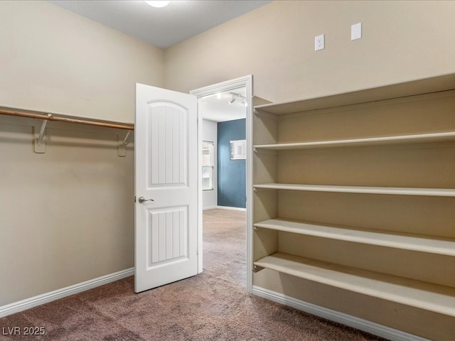 spacious closet with carpet