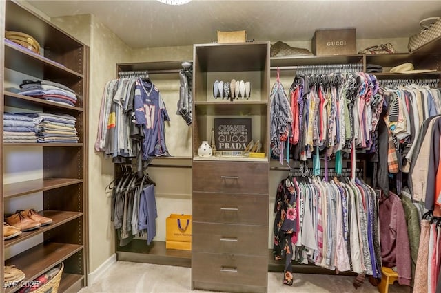 view of walk in closet