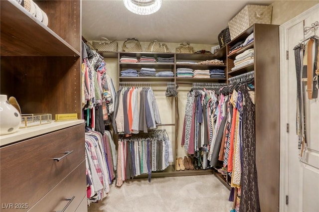 walk in closet with light colored carpet