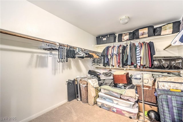 spacious closet with carpet