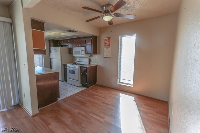 kitchen featuring white appliances, light hardwood / wood-style floors, and a healthy amount of sunlight