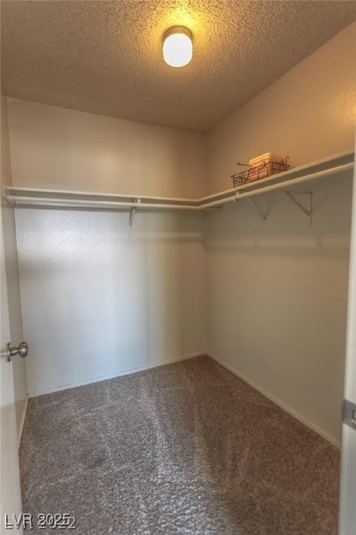 walk in closet with carpet floors