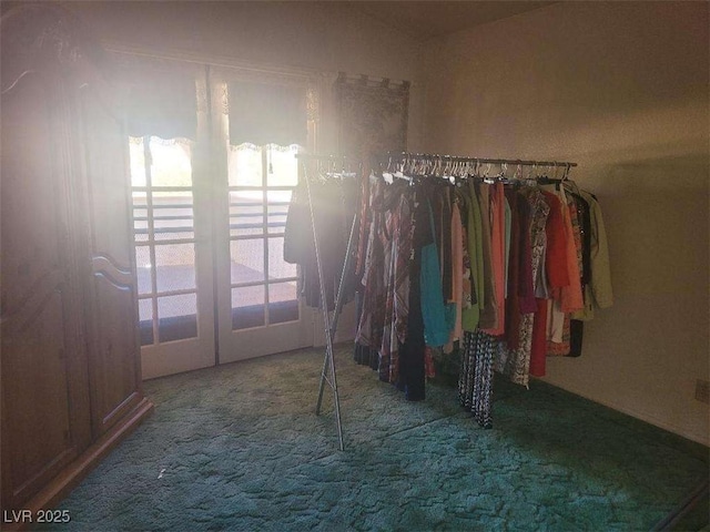 spacious closet with carpet flooring