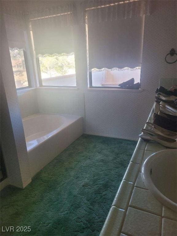 bathroom with a bathing tub