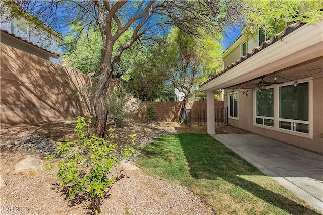 view of yard featuring a patio and ceiling fan