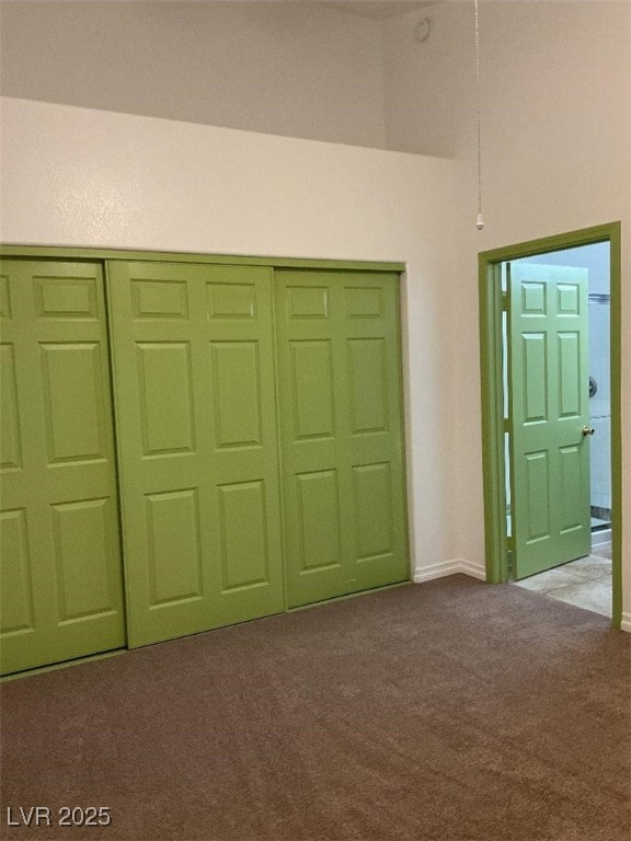 interior space featuring carpet floors and a closet