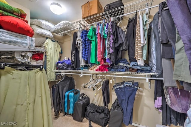 spacious closet with carpet