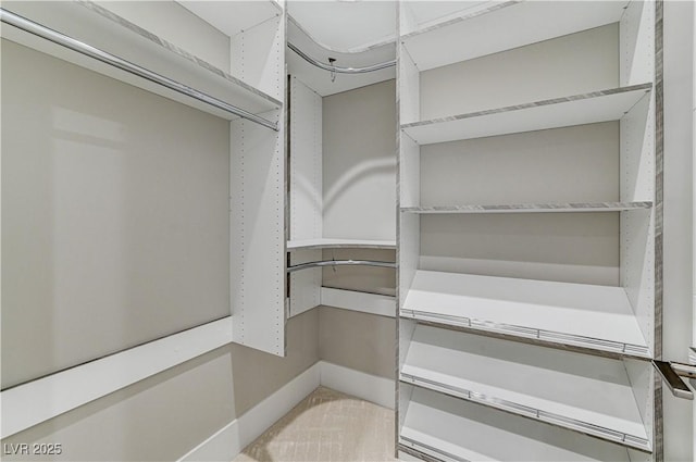 view of walk in closet