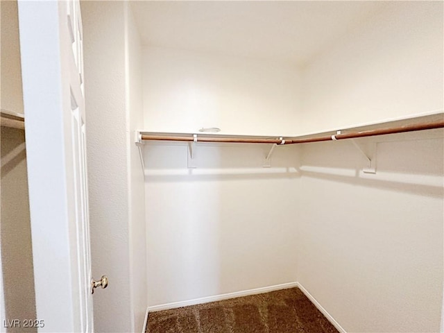 11036 Parete Ct, Las Vegas, NV 89141 - spacious closet with dark carpet