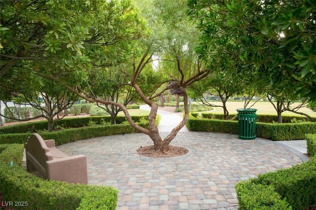 11036 Parete Ct, Las Vegas, NV 89141 - surrounding community