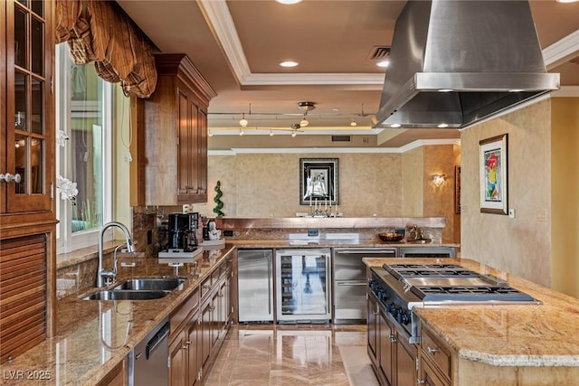 kitchen with island exhaust hood, a tray ceiling, a sink, appliances with stainless steel finishes, and crown molding