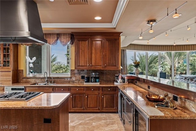 kitchen with range hood, light stone counters, plenty of natural light, a sink, and tasteful backsplash