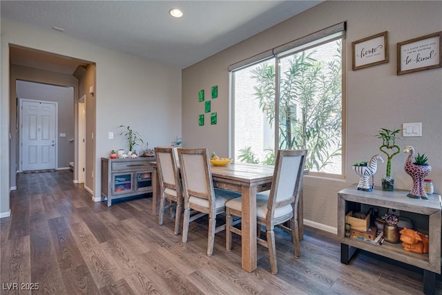 dining room with wood-type flooring