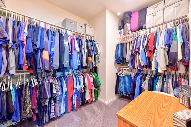 spacious closet with carpet floors