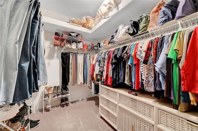 spacious closet with light colored carpet