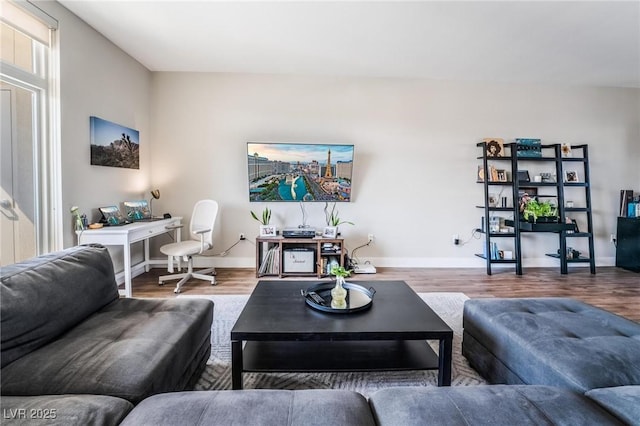 living room with hardwood / wood-style flooring