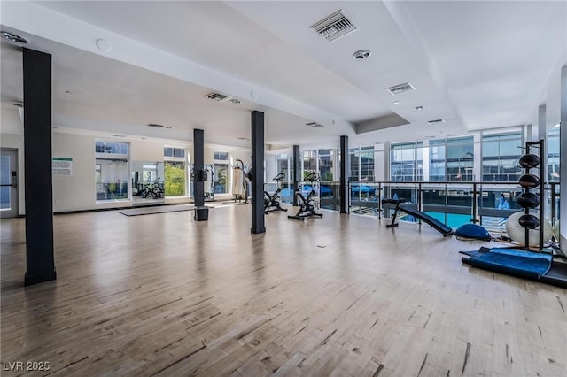 workout area with hardwood / wood-style flooring and floor to ceiling windows