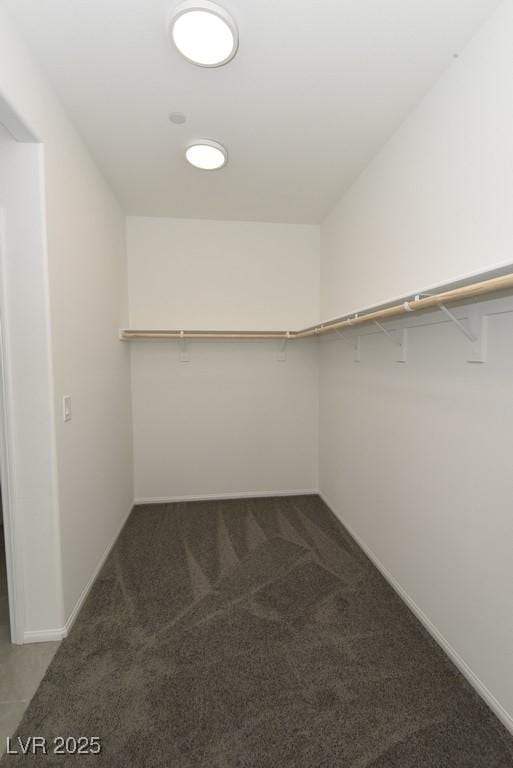 spacious closet with dark colored carpet